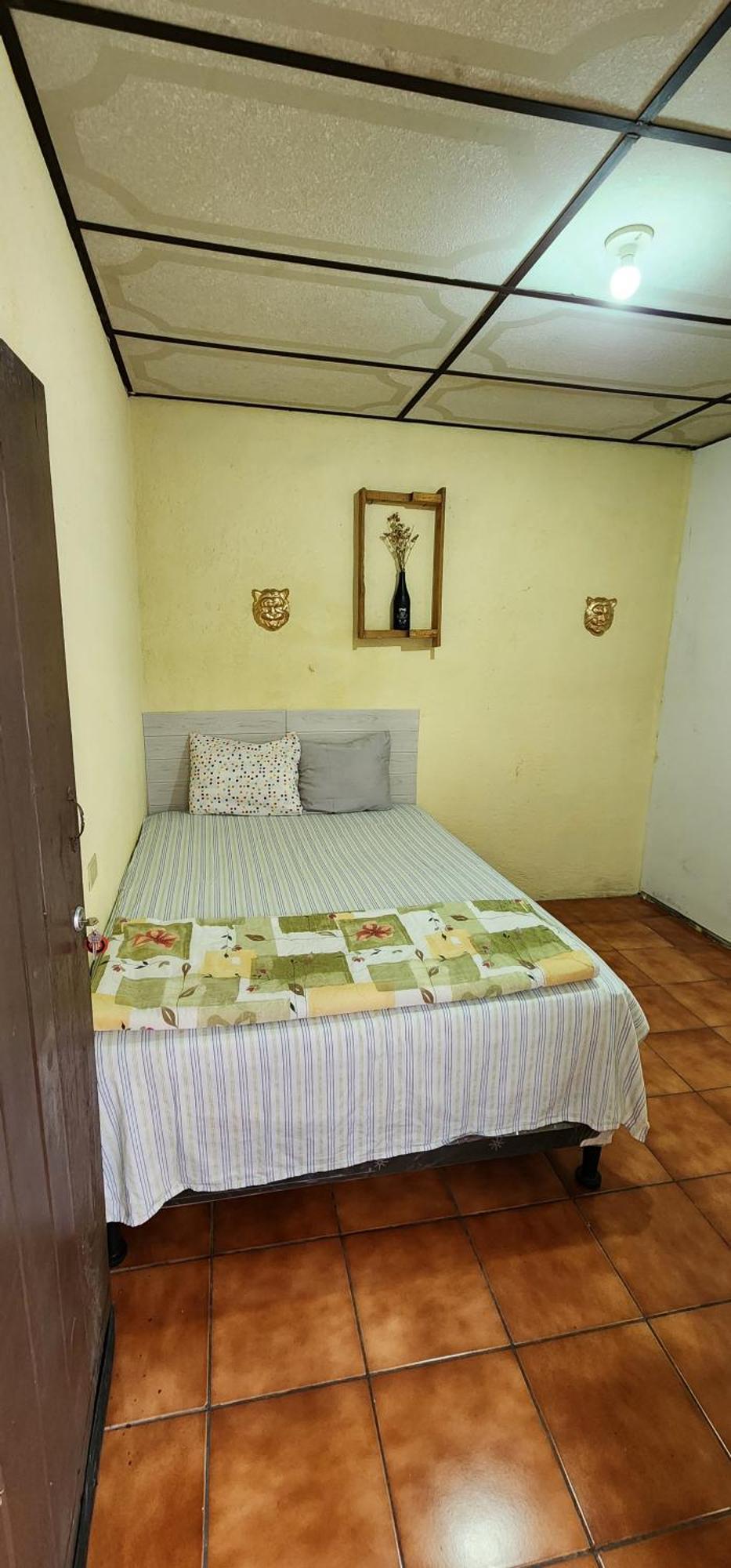 Jaguar Basic Accommodation Antigua Extérieur photo