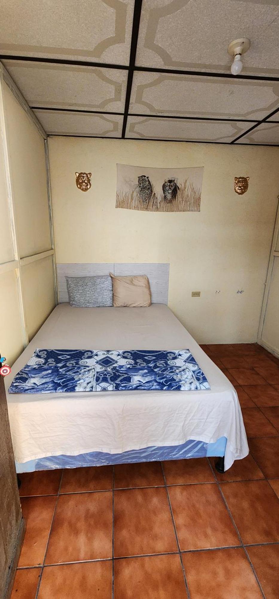 Jaguar Basic Accommodation Antigua Extérieur photo